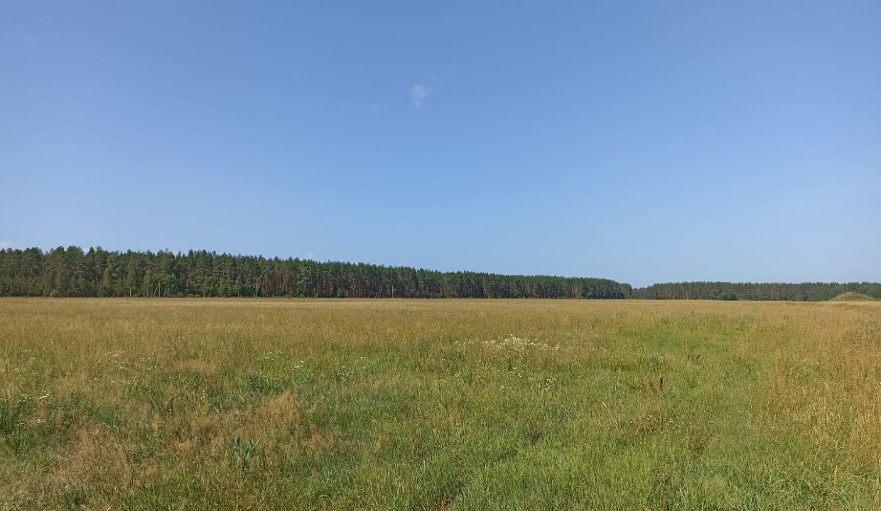 уч.5289_на местности_1