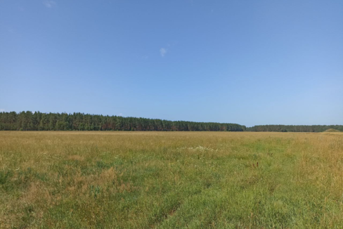 уч.5289_на местности_1